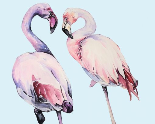 Female Flamingos Paint By Number