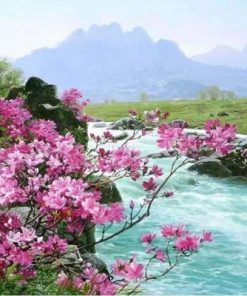 Flower River Paint By Number