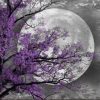 Flower Tree Moon Paint By Number