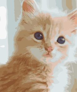 Fluffy Tabby Kitten Paint By Number