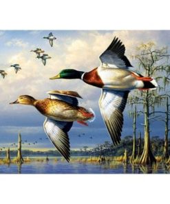 Flying Mallard Ducks Paint By Number