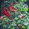 Forest Red Birds Paint By Number