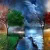 Four Season Trees Paint By Number