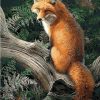 Fox In Jungle Paint By Number