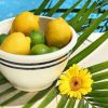 Fresh Lemon Flower Paint By Number
