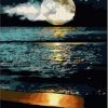 Full Moon Night At Beach Paint By Number