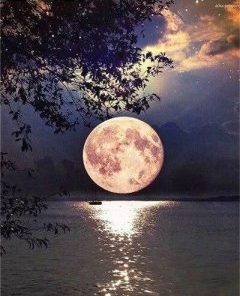 Full Moon On Lake Paint By Number