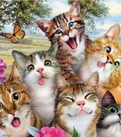 Funny Cats With Butterflies Paint By Number