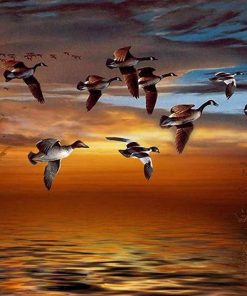 Geese Fly South Birds Paint By Numbers
