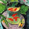 Goldfish Bowl Paint By Number