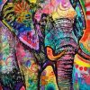 Graffiti Elephant Paint By Number