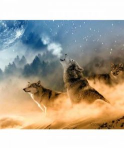 Growling Wolf In The Sky Paint By Number