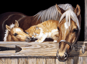 Horse And Cat Paint By Number