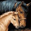 Horse And Foal Paint By Number
