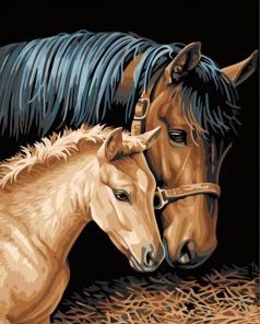 Horse And Foal Paint By Number