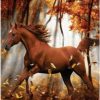 Horse In Autumn Paint By Number