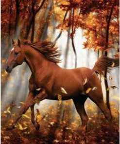 Horse In Autumn Paint By Number