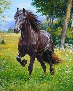 Horse In Forest Paint By Number