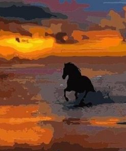 Horse On Sea Sunset Paint By Number