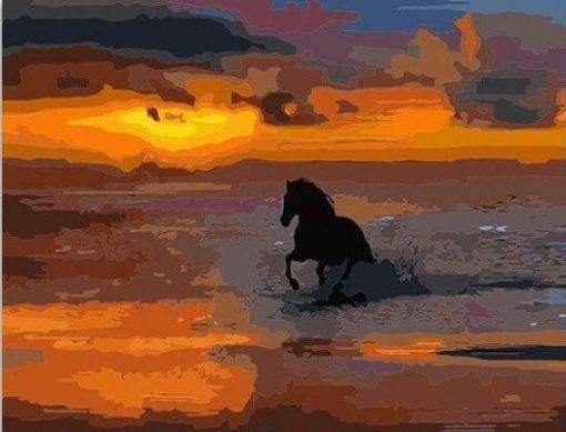 Horse On Sea Sunset Paint By Number