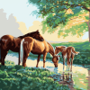 Horses Family Paint By Number