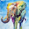 Hot Elephant Paint By Numbers
