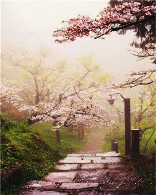 Japanese Cherry Blossom Garden Paint By Number