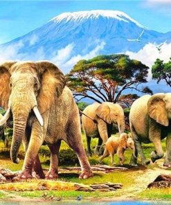 Kilimanjaro Elephant Paint By Number