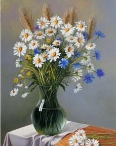 Oxeye Daisy Paint By Number