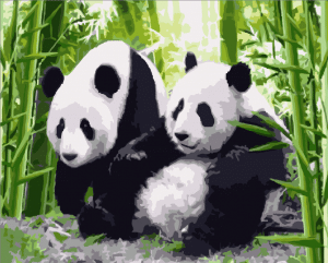 Panda Couple Paint By Number