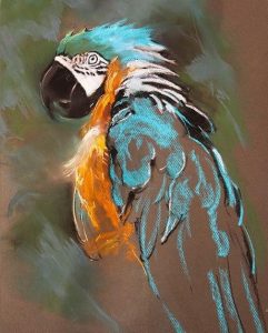 Parrot Art Paint By Number