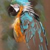 Parrot Art Paint By Number