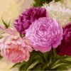 Pink Purple Peonies Paint By Number