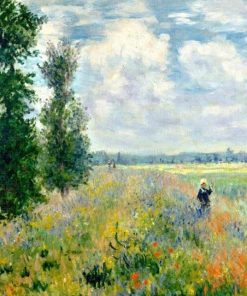Poppy Field Claude Monet paint by numbers