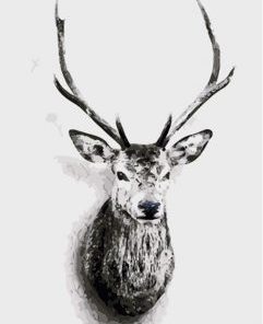 Portrait Of Deer Paint By Number