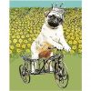 Pug Riding Tricycle Paint By Number