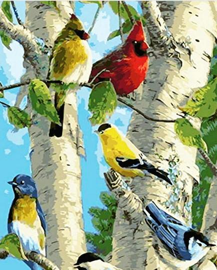 Colorful Cardinals Paint By Numbers