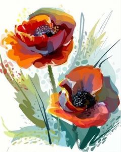 Red Anemone Paint By Number