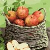 Red Apples Basket Paint By Number