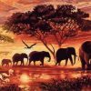 Safari Elephants Paint By Number