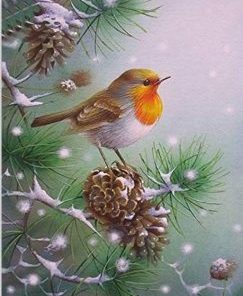 Snow Robin Bird Paint By Number