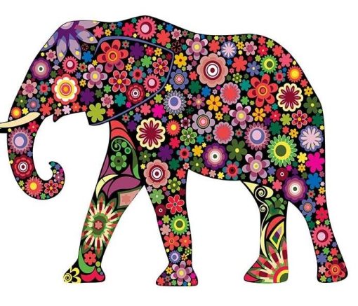 Floral Elephant Paint By Number