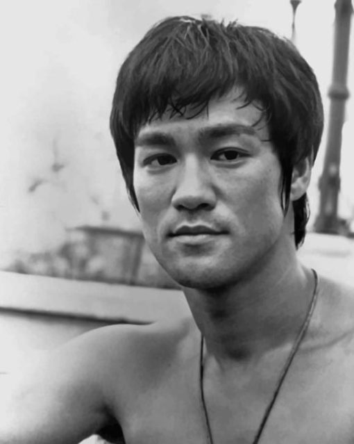 Black And White Bruce Lee Paint by numbers