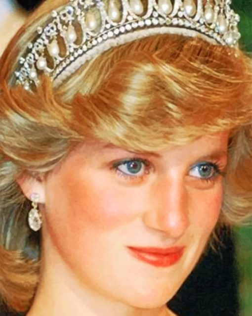 Princess Diana paint by numbers