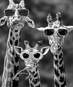 Giraffes With Sunglasses paint by numbers
