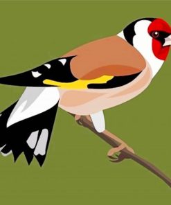 european-goldfinch-paint-by-number