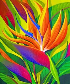 Bird Of Paradise Flower Paint by numbers