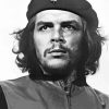 Black And White Che Guevara Paint by numbers