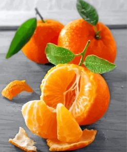Mandarine Fruit Paint by numbers