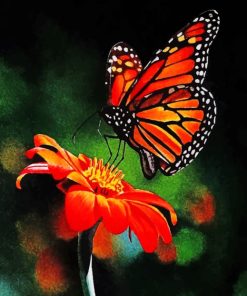 colorful-butterfly-on-flower-paint-by-numbers